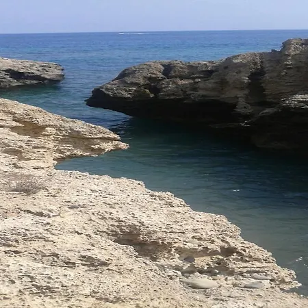 Amarakos λειτουργεί υπό νέα διεύθυνση